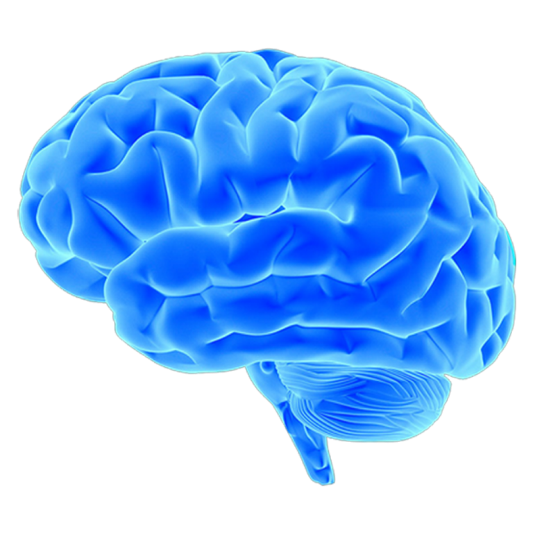 Brain Conditioning